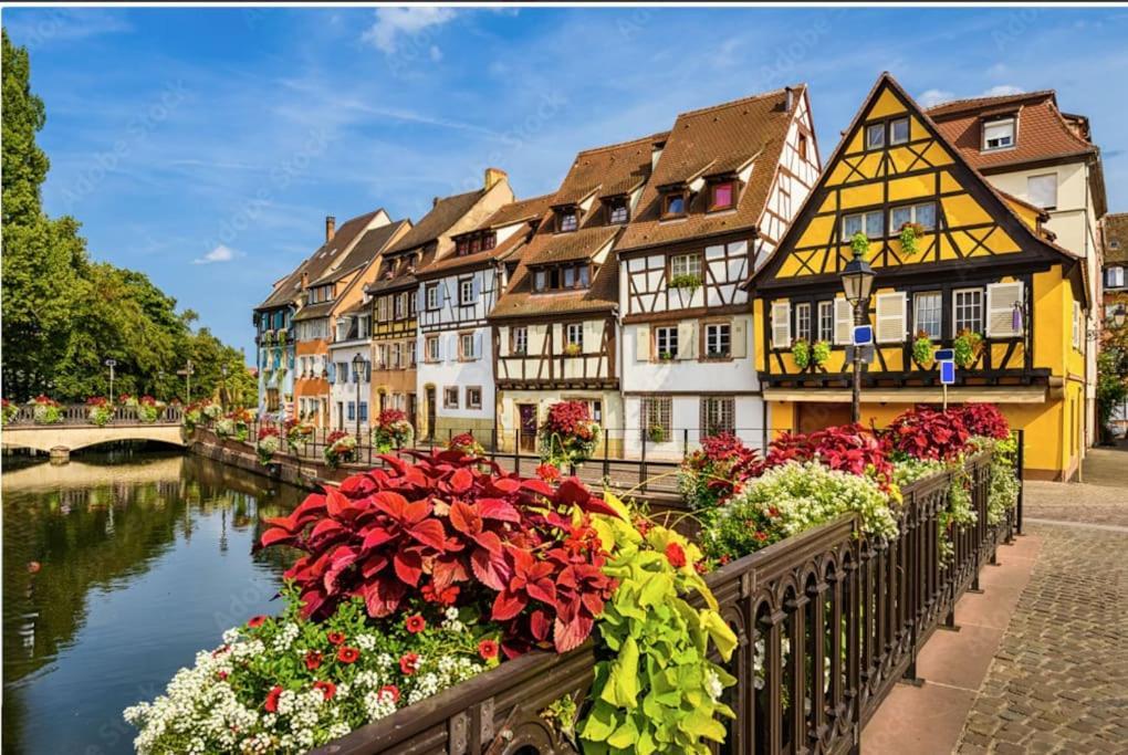 Апартаменты Colmar Centre - Le Schickele Экстерьер фото
